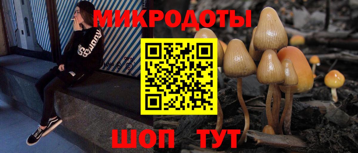 Галлюциногенные грибы Psilocybine cubensis Звенигород