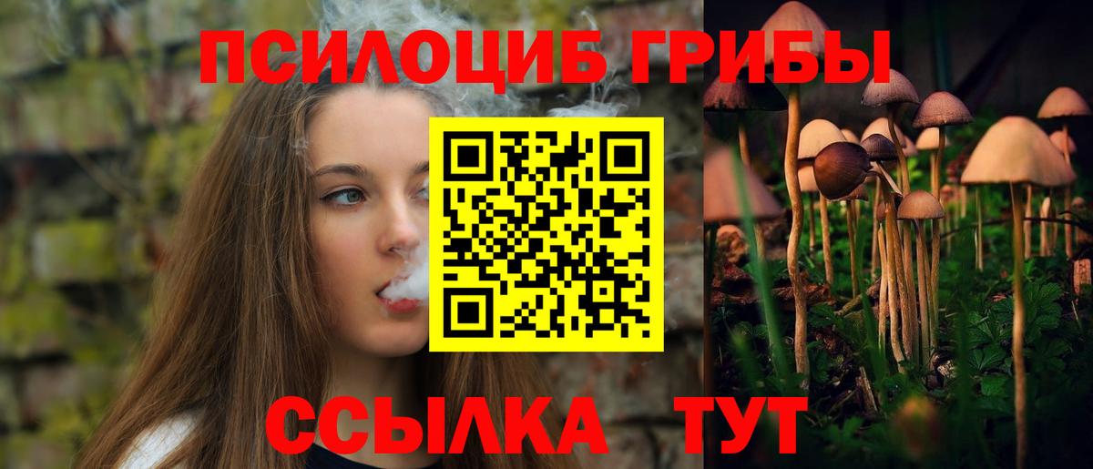 Галлюциногенные грибы Psilocybine cubensis  Псилоцибиновые грибы MAGIC MUSHROOMS  Вход с VPN  Звенигород 